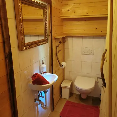 Hubertushütte Tatil Evi Mayrhofen